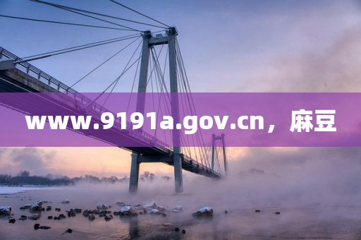 www.9191a.gov.cn，麻豆