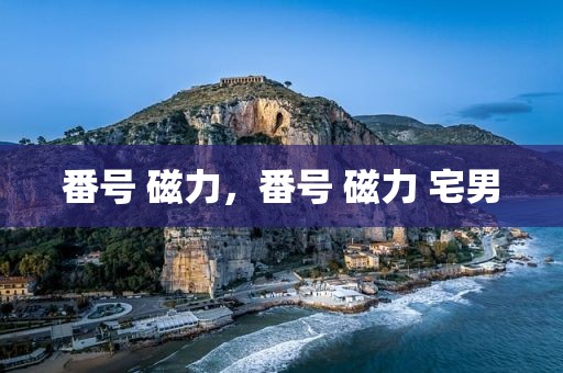 番号 磁力，番号 磁力 宅男