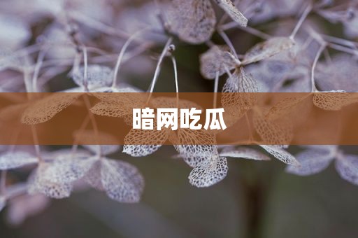 暗网吃瓜