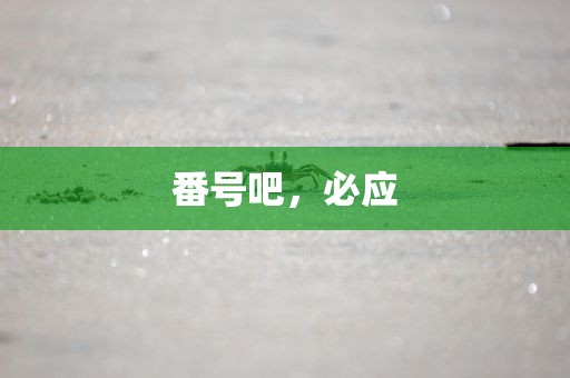 番号吧，必应