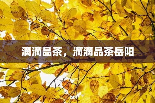 滴滴品茶，滴滴品茶岳阳