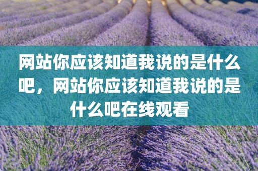 网站你应该知道我说的是什么吧，网站你应该知道我说的是什么吧在线观看