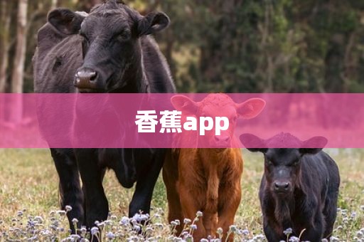 香蕉app