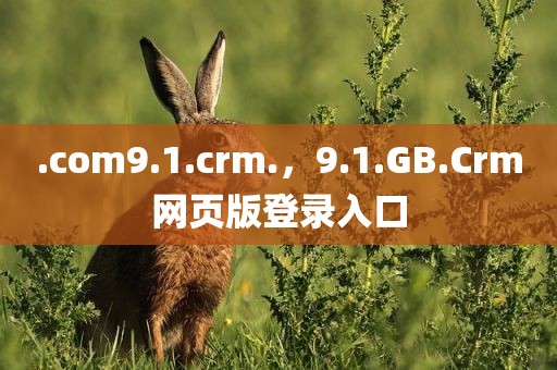 .com9.1.crm.，9.1.GB.Crm网页版登录入口