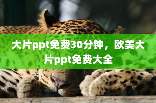 大片ppt免费30分钟，欧美大片ppt免费大全