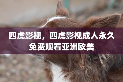 四虎影视，四虎影视成人永久免费观看亚洲欧美