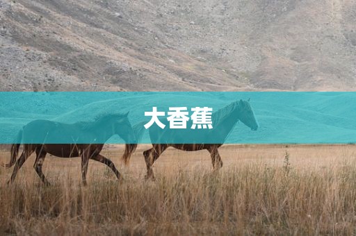 大香蕉