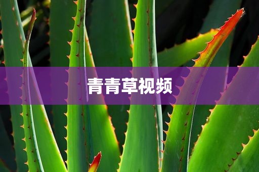 青青草视频