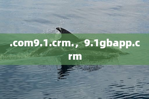 .com9.1.crm.，9.1gbapp.crm