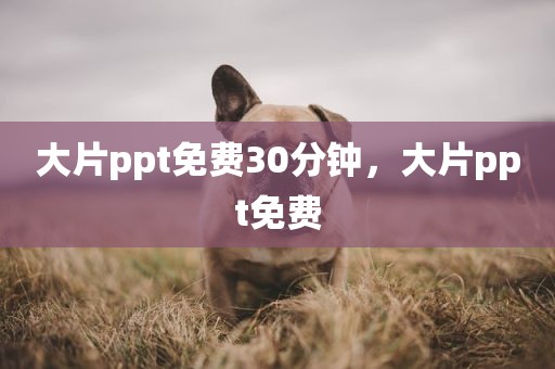 大片ppt免费30分钟，大片ppt免费