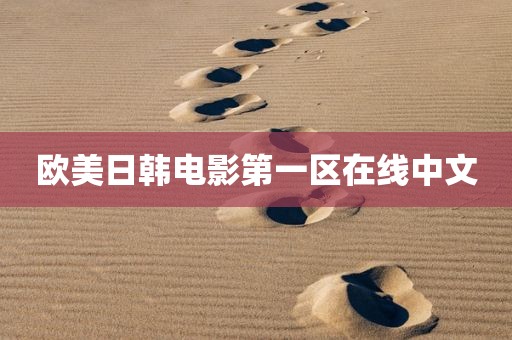 欧美日韩电影第一区在线中文