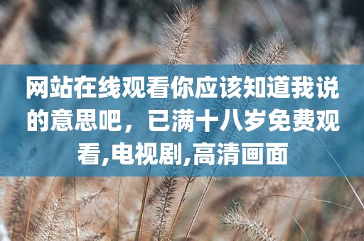 网站在线观看你应该知道我说的意思吧，已满十八岁免费观看,电视剧,高清画面