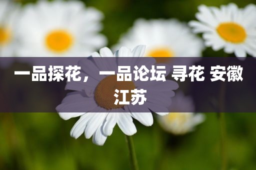 一品探花，一品论坛 寻花 安徽 江苏