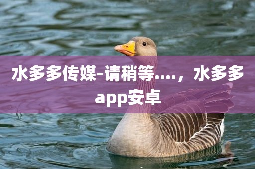 水多多传媒-请稍等....，水多多app安卓
