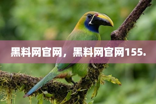 黑料网官网，黑料网官网155.