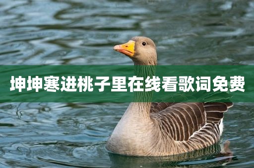 坤坤寒进桃子里在线看歌词免费