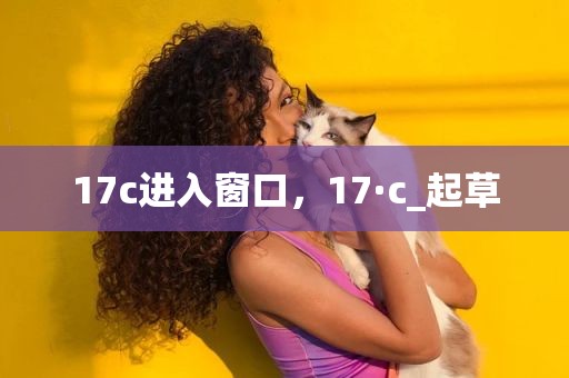 17c进入窗口，17·c_起草
