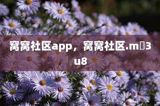 窝窝社区app，窝窝社区.m 3u8