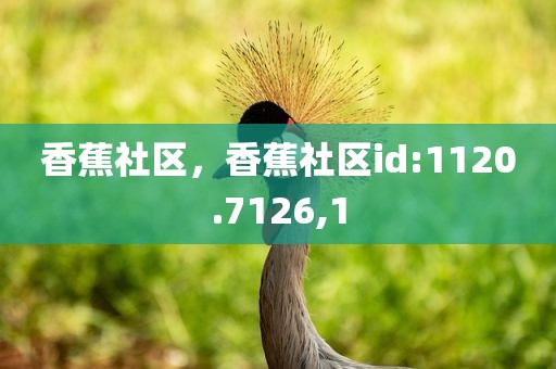 香蕉社区，香蕉社区id:1120.7126,1