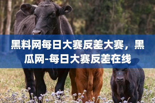 黑料网每日大赛反差大赛，黑瓜网-每日大赛反差在线