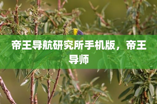 帝王导航研究所手机版，帝王导师