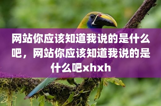 网站你应该知道我说的是什么吧，网站你应该知道我说的是什么吧xhxh