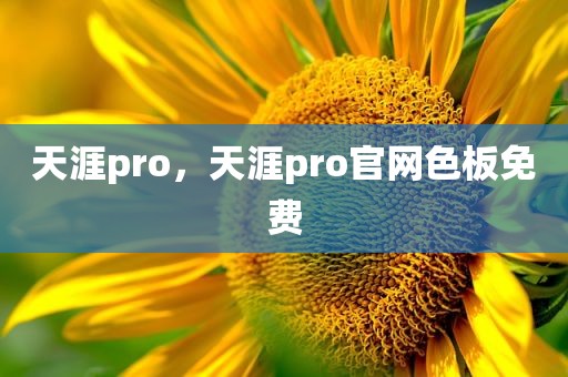 天涯pro，天涯pro官网色板免费