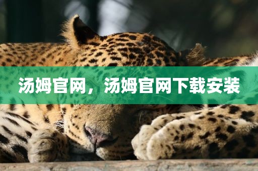 汤姆官网，汤姆官网下载安装