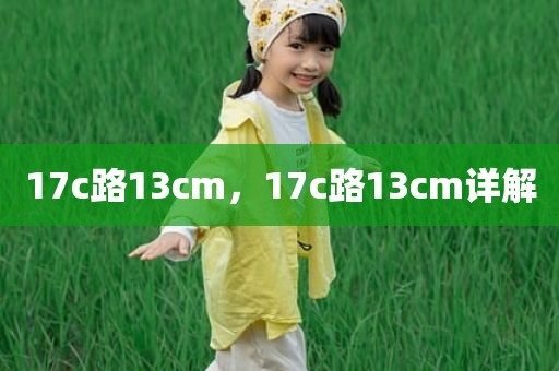 17c路13cm，17c路13cm详解