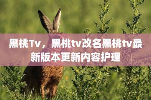 黑桃Tv，黑桃tv改名黑桃tv最新版本更新内容护理