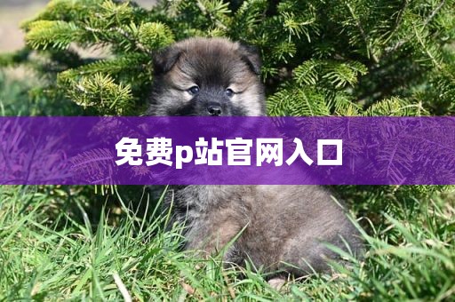 免费p站官网入口