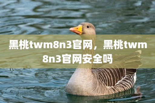 黑桃twm8n3官网，黑桃twm8n3官网安全吗