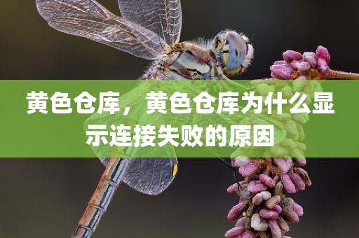 黄色仓库，黄色仓库为什么显示连接失败的原因