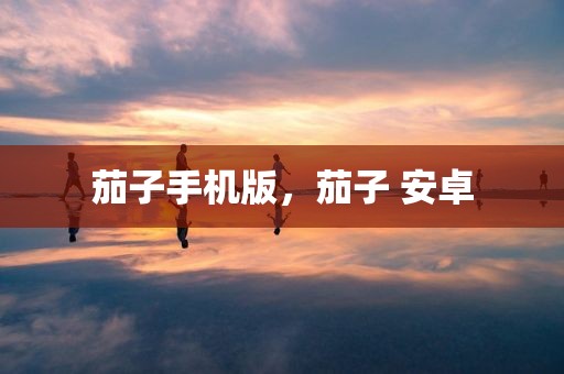 茄子手机版，茄子 安卓