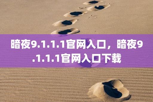 暗夜9.1.1.1官网入口，暗夜9.1.1.1官网入口下载