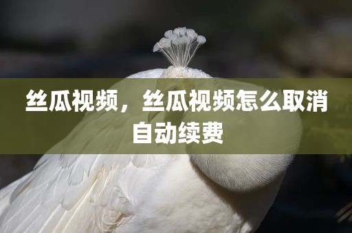 丝瓜视频，丝瓜视频怎么取消自动续费