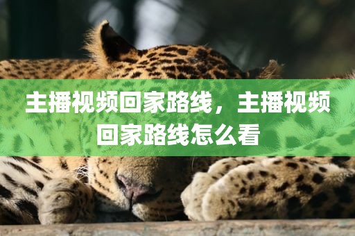 主播视频回家路线，主播视频回家路线怎么看