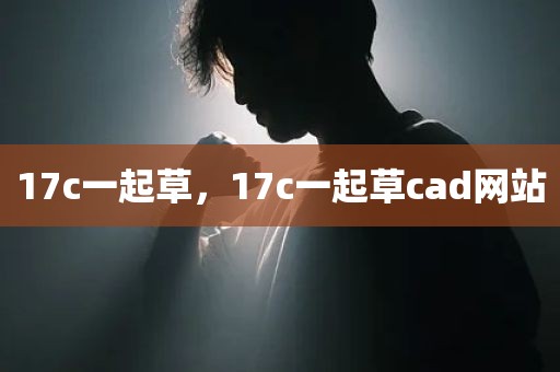 17c一起草，17c一起草cad网站