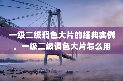 一级二级调色大片的经典实例，一级二级调色大片怎么用
