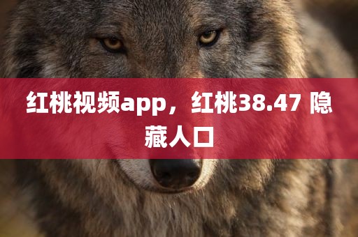 红桃视频app，红桃38.47 隐藏人口