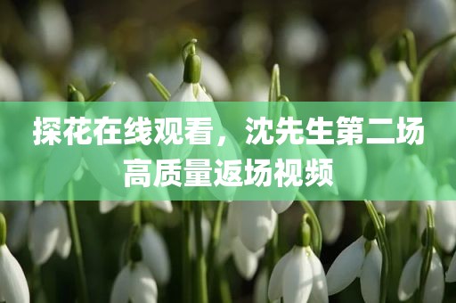 探花在线观看，沈先生第二场高质量返场视频