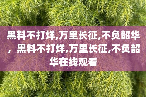 黑料不打烊,万里长征,不负韶华，黑料不打烊,万里长征,不负韶华在线观看