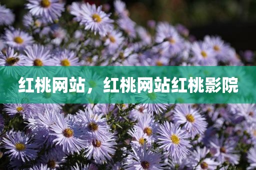 红桃网站，红桃网站红桃影院