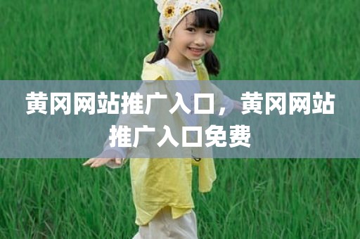 黄冈网站推广入口，黄冈网站推广入口免费