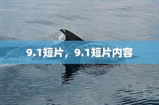 9.1短片，9.1短片内容