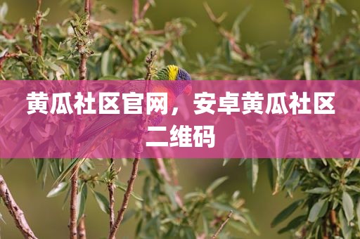 黄瓜社区官网，安卓黄瓜社区二维码