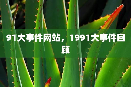 91大事件网站，1991大事件回顾
