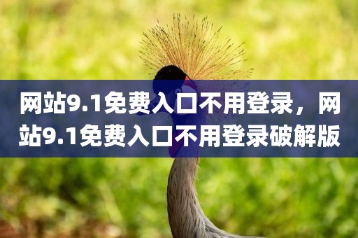 网站9.1免费入口不用登录，网站9.1免费入口不用登录破解版