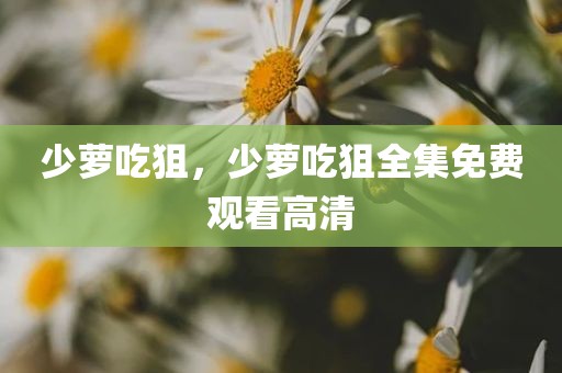 少萝吃狙，少萝吃狙全集免费观看高清