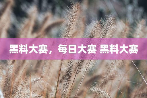 黑料大赛，每日大赛 黑料大赛